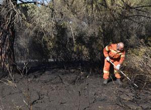 Castiglione della Pescaia, fiamme nel bosco vicino al campeggio