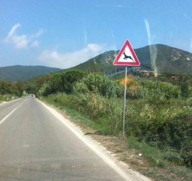 Un tratto di strada che attraversa il ponte sul fosso della Foce 