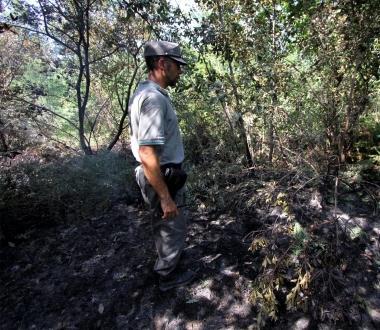 La Forestale su un incendio 