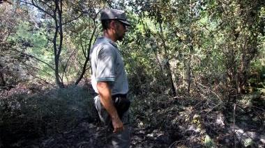 La Forestale su un incendio
