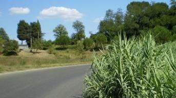Il tombino che rovina le notti in via delle Viole