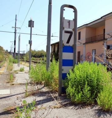 Erba alta lungo la ferrovia a Borgo a Buggiano 