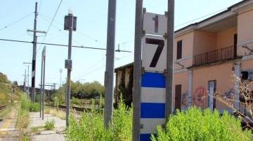 Erba alta lungo la ferrovia a Borgo a Buggiano