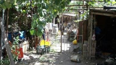 <b>L’INGRESSO</b> del canile denunciato dall’Enpa