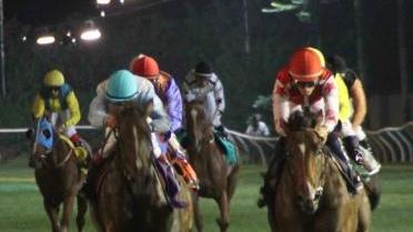 <b>IN PISTA.</b> Un arrivo all’ippodromo Caprilli