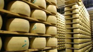 <b>CASEIFICIO </b>In crisi dopo il fallimento