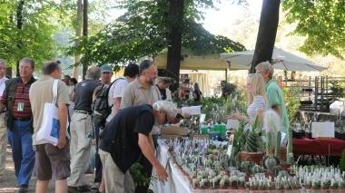 Gli stand della rassegna Murabilia