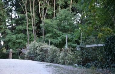 A destra, laccesso transennato alla parte storica delle Cascine 