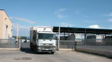 L’ingresso della Rea alle Morelline