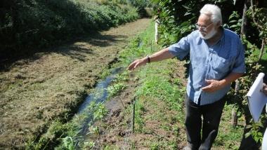 Le orme degli ungulati accanto al filo elettrico 