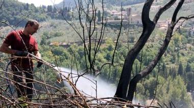 Un pompiere impegnato a spegnere il fuoco a Bacchereto Sotto l’incendio nella pineta di Santonuovo