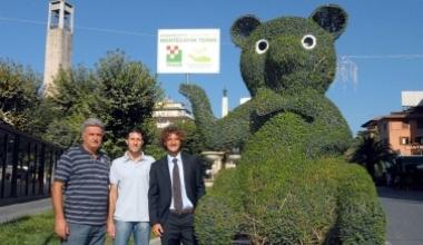 Nuove palme e "sculture verdi" sul viale e in piazza per la sfilata delle Miss