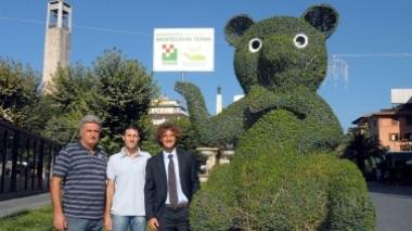 Nuove palme e "sculture verdi" sul viale e in piazza per la sfilata delle Miss