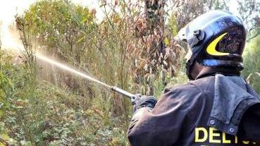I vigili del fuoco impegnati a spegnere un incendio di bosco