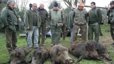 <b>A CACCIA.</b> Una squadra al cinghiale