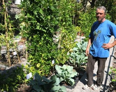 Gli ortaggi lucchesi al Giardino botanico 