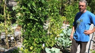 Gli ortaggi lucchesi al Giardino botanico