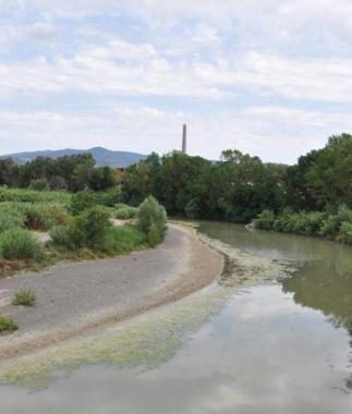 La piana del fiume Cecina   