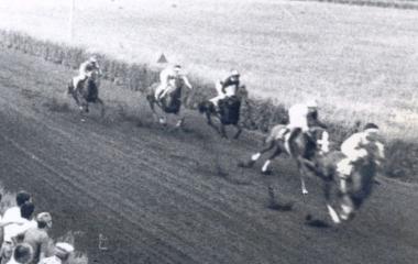 <b>IN GARA.</b> Ippodromo di Capalbio 