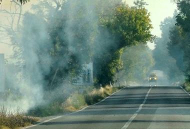 Il fuoco ai margini della Bientinese 