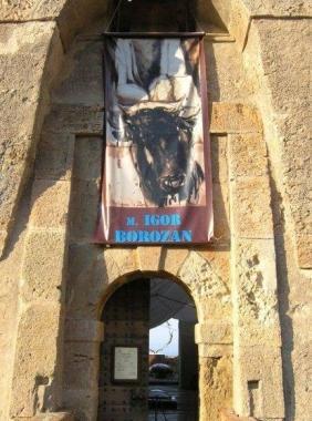 <b>FORTEZZA.</b> La mostra di Borozan 