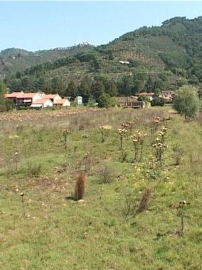 Il terreno interessato dal piano 