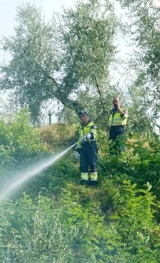 Vigili del fuoco in azione          