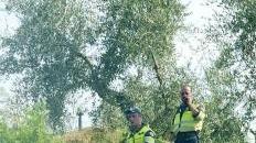 Vigili del fuoco in azione
