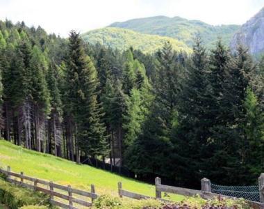 Una veduta del parco della Orecchiella dove si &egrave; svolta la gita 