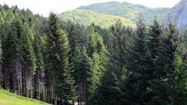Una veduta del parco della Orecchiella dove si è svolta la gita