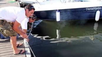 <b>IL LUOGO.</b> Carlo Pucciarelli indica il punto in cui ha trovato la medusa
