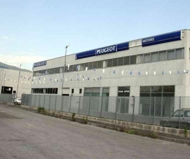«Le auto? Saranno pronte in settimana»