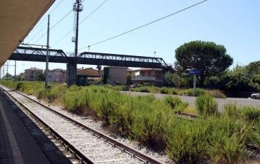 I binari della stazione invasi dalle erbacce 