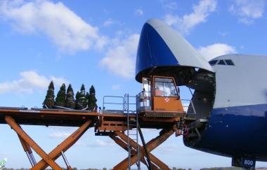 Le piante vengono caricate in aereo, a destra un gruppo di passeggeri 