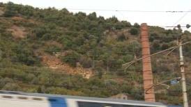 La scarpata della ferrovia annerita dalle fiamme mentre passa un treno
