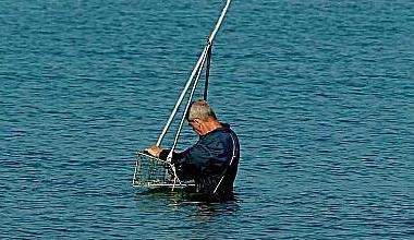 Arselle inquinate, vietate pesca e commercio su tutto il litorale