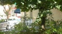I giardini tra via Roma e via Don Minzoni già invasi da rovi e vegetazione: serve più pulizia
