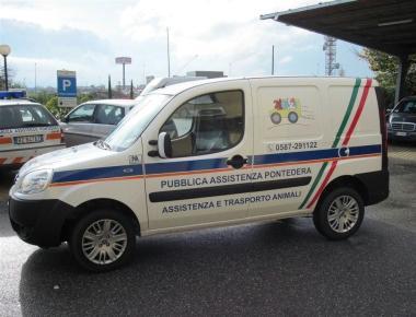  PONTEDERA. Aveva un'ala spezzata e si trascinava in via del Fosso Vecchio a Pontedera. ...