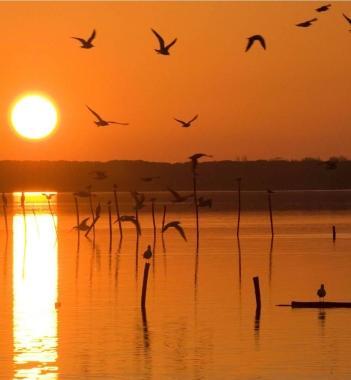 Il Lago di Massaciuccoli  