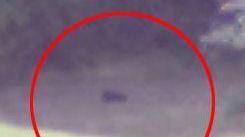 <b>BAGHERA. </b> La foto scattata dalla Forestale lo scorso 7 agosto vicino a Massa Marittima