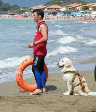 Il golden retriver Eva con Gabriele Scaffai 
