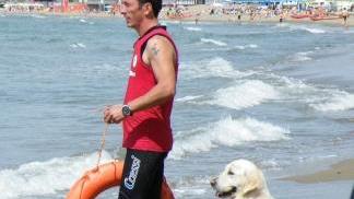 Il golden retriver Eva con Gabriele Scaffai