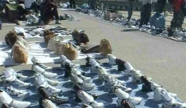 Tirrenia, denunciato venditore abusivo senegalese