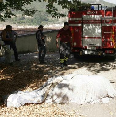 Il cavallo morto, coperto da un lenzuolo 