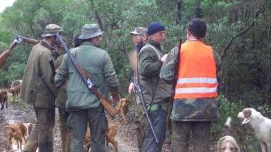 Nasce un gruppo di guardie zoofile per tutelare gli animali