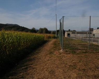 La zona di Nozzano dove &egrave; stata trovata la badante in fin di vita 