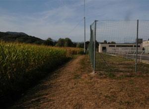 Badante trovata in fin di vita