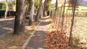 «Troppe foglie sulla ciclabile»