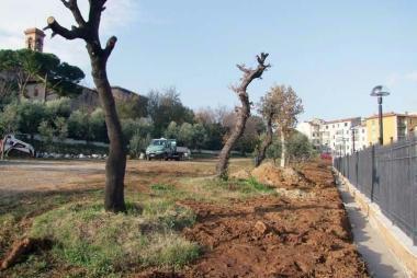 LOrto dei Frati 
