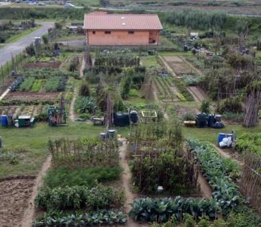 Ecco gli orti sociali per gli anziani